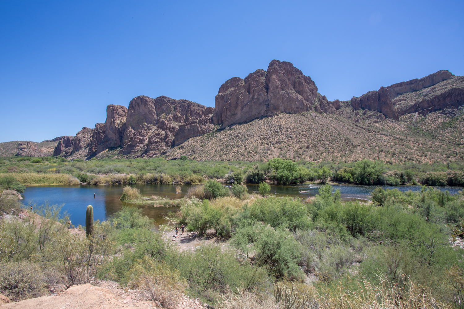 Saguaro Lake